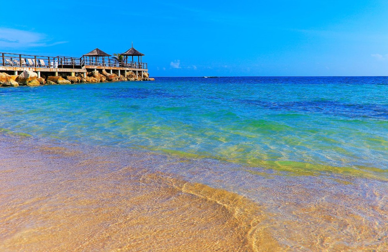 image of the beach side on a clear day in montego bay